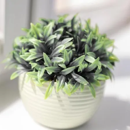 Apartment Urban Chic - Rynek Squre - Great Location & Swidnicka Wroclaw