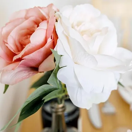 Urban Chic - Rynek Squre - Great Location & Swidnicka Daire Wroclaw