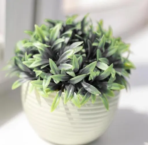 아파트 Golden - Rynek Square - Monopol 브로츠와프